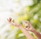 Woman hands spraying perfume