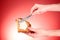 Woman hands spread bread with butter