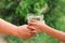 Woman hands to drink water with children hands green leaf background