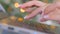 Woman hands typing on laptop computer keyboard with bokeh light background