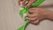 Woman hands untie green ribbon on white gift box. Lockdown shot of tender female hands unpacking present on light wooden