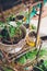 Woman hands watering seedlings in urban garden