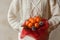 Woman hands in white sweater holding bouquet of mandarins and Christmas tree branches. New Year`s edible bouquet of