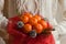 Woman hands in white sweater holding bouquet of mandarins and Christmas tree branches. New Year`s edible bouquet of