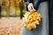 Woman hands with yellow leaves closeup. Fall season in city park