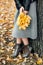 Woman hands with yellow leaves closeup. Fall season in city park