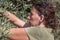 Woman harvest green olives, Israel.