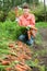 Woman harvesting carrots