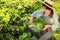 Woman harvesting different fresh ripe vegetables on farm