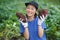 Woman harvesting sweet potatoes