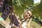 Woman harvests grapes