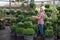 Woman in hat choosing plants in tree nursery