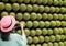 Woman in Hat Taking Pictures of Amazing Numerous Rows of Potted Golden Barrel Cactus Plants