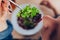 Woman having salad in restaurant. Girl eating healthy food