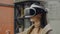 Woman in a helmet of virtual reality against the background of a huge window in the office at the workplace. Design