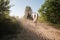 Woman in a helmet walks with her horse along a dusty sandy road, holding her by the bridle, at sunset, against the