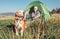 Woman in her beagle dog meet morning in touristic camping tent