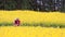 A woman and her daughter admiring canola field scenery