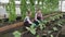 Woman with her daughter working in the greenhouse