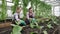 Woman with her daughter working in the greenhouse