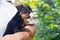 Woman with her little pinscher small dog outside on a park.