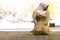 Woman in Hijab Sitting in Mosque and Praying