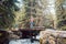 Woman on a hike standing on bridge in the woods
