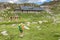 woman hiker camping near the beautiful shelter stone hut building in Pyrenees mountains. Hiking and adventure concept