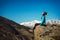 Woman hiker enjoy sunlight on the cliff