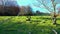 Woman hiker having a rest in a grassland with trees in autumn. Navarre, Spain.