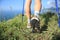 Woman hiker legs hiking on seaside mountain