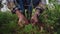 Woman hiker pick up a mushroom