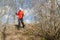 Woman hiker with scandinavian sticks walks at sunset