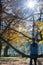 Woman hiker sitting on a large branch of an old oak tree in a fall forest landscape and enjoying the peace and quiet of nature