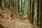 Woman hiker on a steep trail