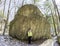 Woman hiker stops beside huge boulder to marvel at wilderness en