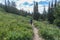 Woman hiker walks on the Bradley and Taggert Lake trail in Grand Teton National Park