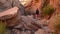 Woman Hikes Through Desert Rocks