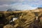 Woman hikes in icelandic landscape