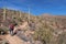 Woman hiking the King Canyon Trail, Arizona.