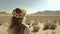 woman hiking on Namib Desert, adventure concept, generative ai