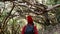 Woman hiking in the rainforest