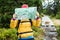 Woman hiking and reading map in forest