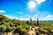 Woman hiking under bright sun through the semi desert landscape of Usery Mountain Regional Park