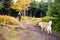 Woman hiking in woods, walking with dog