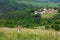 Woman on the Hill in the Spring