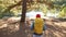 woman hipster hiker in forest a park. adventure travel ecotourism concept. hiker tourist with backpack. hipster woman