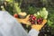 Woman hold bunch of radishes