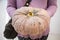 Woman hold the giant pumpkin on her hands.
