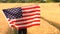 Woman holding an American USA Stars and Stripes flag in a wheat field at sunset or sunrise